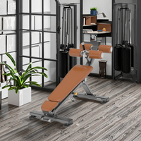 Anyfit PEB106 Banc Abdominal Multifonction Moderne Pliable en Métal pour Entraînement de la Poitrine, avec Angle de Coussin Réglable pour Sit-up et Press Plat