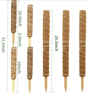 Venta caliente <span class=keywords><strong>Bonsai</strong></span> Plantas trepadoras Soporte 40cm <span class=keywords><strong>Coco</strong></span> Coir Moss Pole con accesorios - Product Image 6