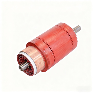 Anjiexiaolei Motor de tracción de inducción CC/CA personalizado, rotor de jaula de ardilla/rotor bobinado, material de carbono, eje de 11 mm, 2-6 polos - Product Image 1