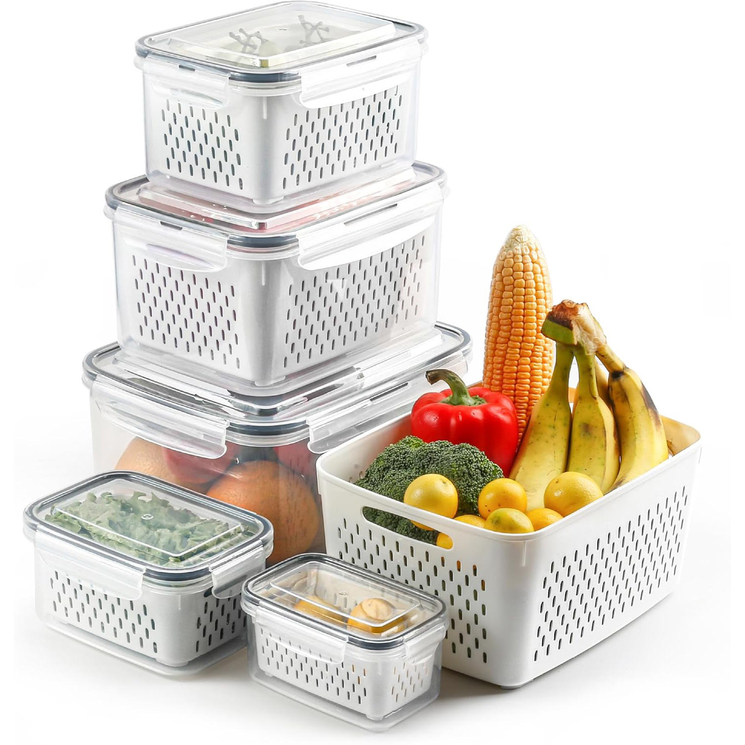 800ml-Rect.-HXP00277