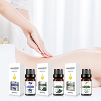 Huiles essentielles personnalisées hydrosolubles, parfums multiples pour désodorisant, lys, océan, lavande pour diffuseur de parfum