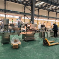 Ligne de production automatique de machine de remplissage et de capsulage de bouteille de suppléments de vitamines effervescents