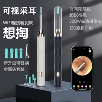 Nouveau produit outil de suppression de cire d'oreille caméra HD WIFI endoscope d'oreille meilleure caméra de nettoyage d'oreille