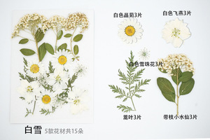 ดอกเดซี่เก๊กฮวยสีสันสดใส,ดอกเดซี่สีสันสดใสสำหรับประดับตกแต่งด้วยเทียน DIY จี้ประดับเรซิ่น - Product Image 4