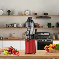 250W DC-motor roestvrijstalen slowjuicer met grote invoeropening, elektrische koudpersmachine, kauwende slowjuicer voor huishoudelijk gebruik, multifunctioneel