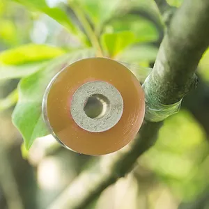 LYCXAMES -- Cinta de injerto, 2 piezas de cintas de injerto de 100 m, cinta  de injerto de vivero estirable autoadhesiva biodegradable, cinta de injerto  segura y respetuosa con el medio ambiente (verde