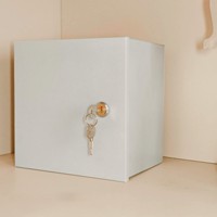 Armoire de rangement verrouillable en acier, coffre de sécurité métallique pour documents de bureau, dossiers et objets personnels - Fabricant