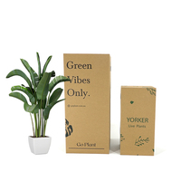 Boîte d'emballage de plante ondulée avec logo personnalisé pour pots de 4 6 8 10 pouces Boîte d'expédition de protection pour plantes en pot