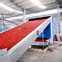Hoge Efficiëntie Rode Chili Peper Droogapparatuur Continue Riem Chili Mesh Band Droger Machine Voor Fruit En Groenten