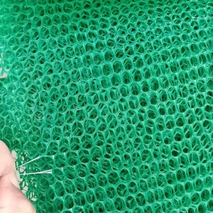 경사면 보호를 위한 3D 식생 네트워크 지오넷 조림 잔디 심기 지오매트 - Product Image 3