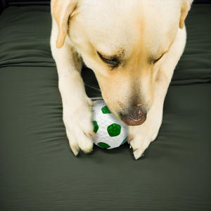 Commercio all'ingrosso della fabbrica Mini eco-friendly lattice <span class=keywords><strong>Squeaky</strong></span> palle di cane calcio pallavolo noia sollievo giocattoli da masticare per cani uso quotidiano - Product Image 2