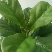 Vente en gros de plantes vertes artificielles très demandées : Ficus Carica en pot, Feuilles de Violon, Arbre Banyan, Décoration intérieure, Arbres artificiels