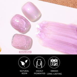 Vernis à ongles gel JTING Aurora Pearl, collection de 12 couleurs, haute pigmentation, effet nacré, vernis à ongles gel OEM personnalisable, nouveau design, pot de 5 ml - Product Image 4