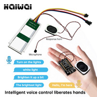 Interrupteur tactile à capteur vocal pour miroir avec commande par induction, éclairage LED 60W, deux boutons, langue anglaise, DC12V