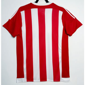 เสื้อฟุตบอลย้อนยุค ฤดูกาล 2015/16 ของทีมซัมซูธแฮมป์ตัน ชุดเหย้าฤดูร้อน แห้งเร็ว แขนสั้น ชุดยูนิฟอร์มสโมสรยุโรป ผลิตจากโพลีเอสเตอร์/ไนลอน - Product Image 2