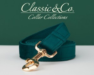 Collar y Correa Personalizados para Perro Teal Veet con Lazo de Flores y Placa de Identificación Grabada en Oro - Regalo Unisex para Cachorros de Boda - Product Image 5