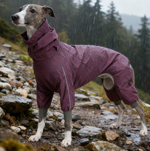 Veste coupe-vent légère en polyester pour chien, 4 pattes, durable, hydrofuge, réfléchissante, pliable, facile à mettre et à enlever, toutes saisons - Product Image 3