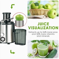 Fabrieksgroothandel OEM Draagbare Slow Juicer Buitengebruik 500ml Capaciteit Metalen Behuizing Multifunctionele Elektrische Molen