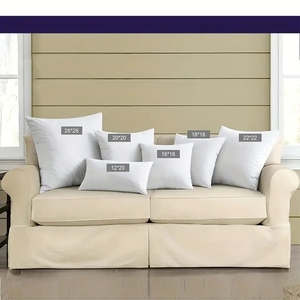 Nhà Máy Bán buôn 16 "x 16" lông xuống gối chèn đệm chèn đệm Pad - Product Image 2