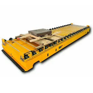 6 미터 길이 맞춤형 대형 롤러 AGV 운반 500KG 전송