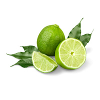 Exportation de citron sans graines/citron vert sans pépins à prix compétitif du Viet Nam pour l'exportation 2023 VIETNAM AGRICULTURE Marque