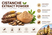 Complément alimentaire Cistanche Tubulosa en marque blanche (OEM) - Poudre concentrée à 10:1 - Extrait de Cistanche formule personnalisée pour la fonction cognitive