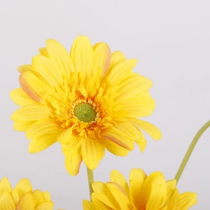 Vente en gros de fleurs artificielles en PU Gerbera à tige unique, marguerite africaine, pour la décoration d'arrangements floraux - Product Image 4