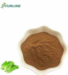 ส่วนผสมจากธรรมชาติแท้ 100% แลคทูซินจากสารสกัดจากผักกาดหอมป่า (<span class=keywords><strong>Lactuca</strong></span> <span class=keywords><strong>Virosa</strong></span>) - Product Image 2