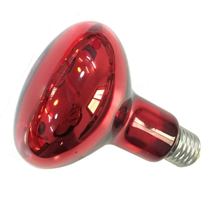 Bombilla <span class=keywords><strong>de</strong></span> reptil 25W-150W bombilla Led infrarroja <span class=keywords><strong>de</strong></span> vidrio, lámpara <span class=keywords><strong>de</strong></span> luz anfibia larga <span class=keywords><strong>vida</strong></span> - Product Image 2
