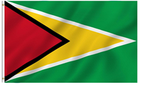 Bandera de Guyana 3x5 pies, poliéster de lujo resistente y duradero, para interior/exterior con rayas cosidas y ojales de latón