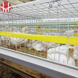 <span class=keywords><strong>Cage</strong></span> de volaille d'approvisionnement direct d'usine de Offre Spéciale pour poulet de chair <span class=keywords><strong>Cage</strong></span> de transport de poulet épaissie - Product Image 2