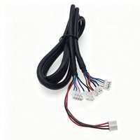 Arnés de Cables Divisor Multi-Rama Personalizado, Cable Conector PH2.0mm con Cubierta Exterior Negra para Control de Electrodomésticos