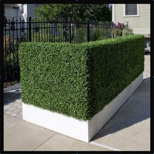Césped <span class=keywords><strong>Artificial</strong></span> Verde, Resistente <span class=keywords><strong>a</strong></span> los Rayos UV, Pared de Césped <span class=keywords><strong>Artificial</strong></span> de Boj para Cercas de Privacidad y Decoración de Jardines - Product Image 1