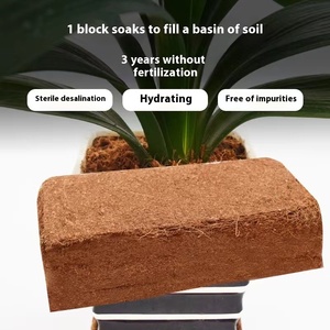 บล็อกมะพร้าวมะพร้าวขนาดใหญ่กระถางต้นไม้ที่มีสารอาหารในดินเป็นมิตรกับสิ่งแวดล้อมใช้เป็นปุ๋ยสำหรับปลูกพืชผักเปลือกหยาบใช้เป็นปุ๋ยรำข้าว - Product Image 2