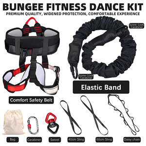 Haute qualité intérieur Yoga Studio aérien Yoga saut à l'élastique ensemble vitalité ceinture suspendue danse <span class=keywords><strong>Fitness</strong></span> assistance cordon élastique formateur - Product Image 2