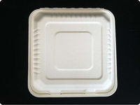Boîte à gâteau aux fruits jetable, boîte à burger biodégradable, emballage à emporter pour la restauration rapide, boîte à hot-dogs divisée en pulpe de bagasse de canne à sucre