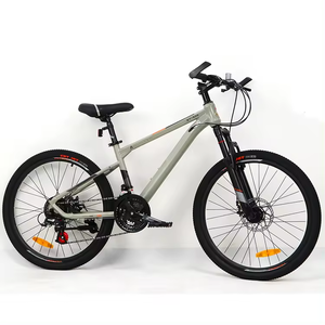Hot <strong>Sale</strong> Overseas Bicycle 20 Inch Aluminum Alloy Mountain <strong>Bycicle</strong>/Road Bikes/High Quality Bicycles - Product Image 2