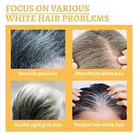 Produits pour assombrir les cheveux, cheveux blancs et gris, sérum assombrissant pour cheveux, nutriments à base de Ganoderma