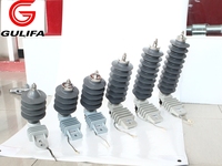 Parasurtenseurs polymère-oxyde métallique 6kV-36kV sans interstices pour système CA