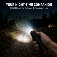 Lampe de poche 230 lumens, mini torche LED zoomable en alliage d'aluminium, étanche IP64, lumière EDC pour le camping, l'inspection et les activités de plein air
