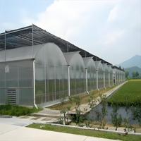 Serre agricole de grande taille de haute qualité, tunnel à plusieurs travées, couverture en polycarbonate, système hydroponique, longueur personnalisable