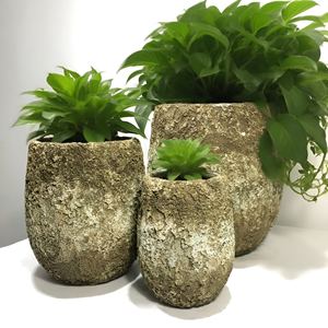 Natural Cement Raised Flower <b>Bed</b> Pot with <b>Vintage</b> Style Eco-Friendly & Corrosion Resistant for Outdoor Garden Use - Product Image 4