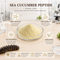 Poudre d'oligopeptide de concombre de mer à absorption élevée, qualité alimentaire, certifiée Halal, marque Yuthan, ingrédient de santé pour les articulations et l'immunité