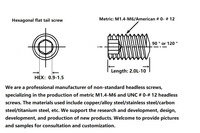 M1.6-0.35P * 2.5L Punta Hexagonal Métrica de 90 Grados °   o 120 °   Tornillo de ajuste especial para instrumentos ópticos