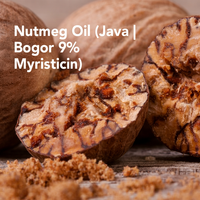 Huile de muscade fraîche (Java) |   Huile d'aromathérapie Bogor 9% Myristicin) NM-001 Van Aroma - Mélange pour l'aromathérapie, anti-insectes et massages