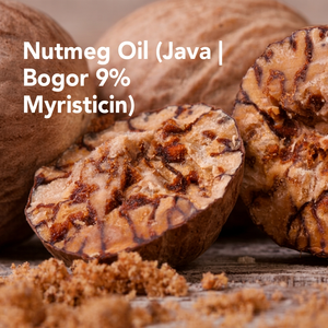 Aceite de Nuez Moscada Fresco (Java) |   Aceite de Aromaterapia Bogor 9% Myristicin) NM-001 Van Aroma - Product Image 1