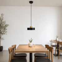 Nouveau produit, lustre décoratif vintage moderne, luminaire de cuisine, restaurant, luminaire suspendu en métal moderne à LED, minimaliste