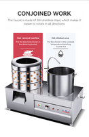 Machine à épiler les plumes de poulet en acier inoxydable, machine à épiler les plumes de poulet et chauffe-eau