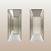 Ascenseurs de villa en acier inoxydable de la série Premium, système de contrôle intelligent 220V. Capacité personnalisable de 400 kg pour 2-3 personnes