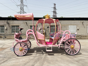 Carrosse de citrouille romantique à <span class=keywords><strong>louer</strong></span> | <span class=keywords><strong>Voiture</strong></span> de <span class=keywords><strong>mariage</strong></span> personnalisée pour hôtels, parcs et lieux de divertissement - Product Image 3